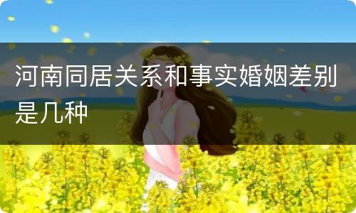 河南同居关系和事实婚姻差别是几种