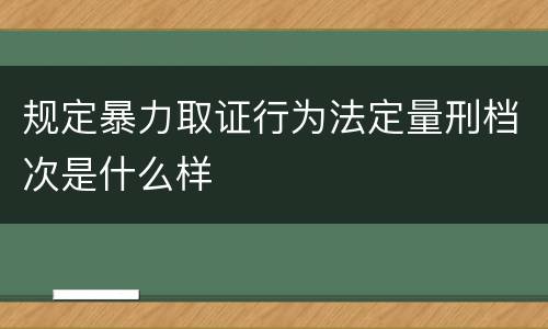 规定暴力取证行为法定量刑档次是什么样