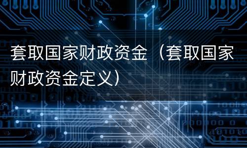 套取国家财政资金（套取国家财政资金定义）