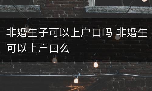 非婚生子可以上户口吗 非婚生可以上户口么