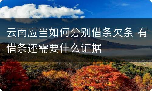 云南应当如何分别借条欠条 有借条还需要什么证据