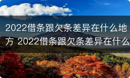 2022借条跟欠条差异在什么地方 2022借条跟欠条差异在什么地方查