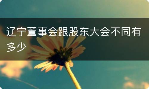 辽宁董事会跟股东大会不同有多少