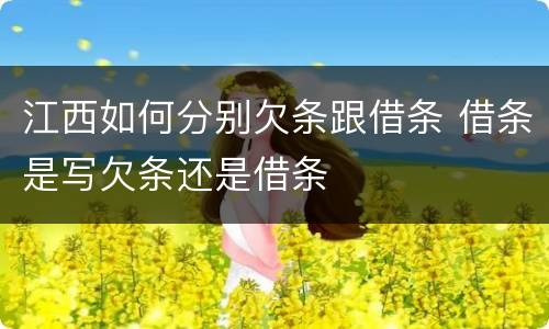江西如何分别欠条跟借条 借条是写欠条还是借条