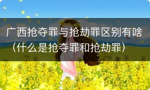 广西抢夺罪与抢劫罪区别有啥（什么是抢夺罪和抢劫罪）