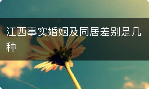 江西事实婚姻及同居差别是几种