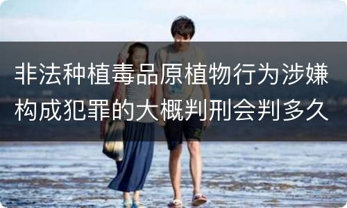 非法种植毒品原植物行为涉嫌构成犯罪的大概判刑会判多久