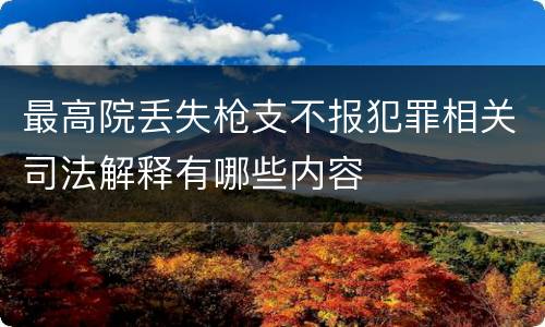 最高院丢失枪支不报犯罪相关司法解释有哪些内容