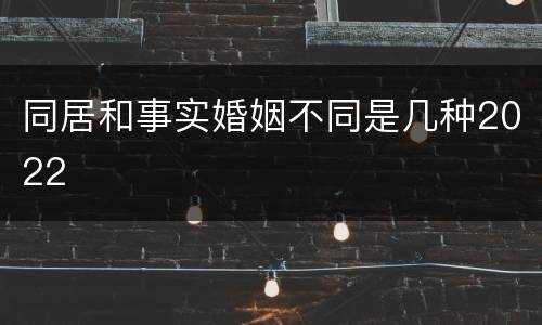 同居和事实婚姻不同是几种2022