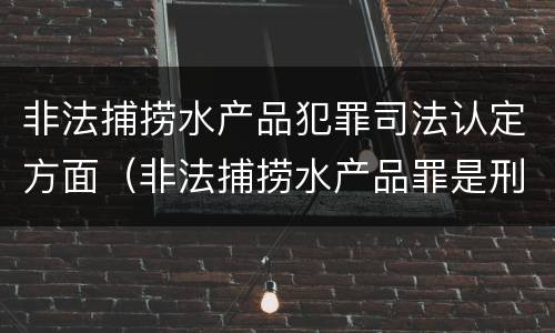 非法捕捞水产品犯罪司法认定方面（非法捕捞水产品罪是刑事案件吗）