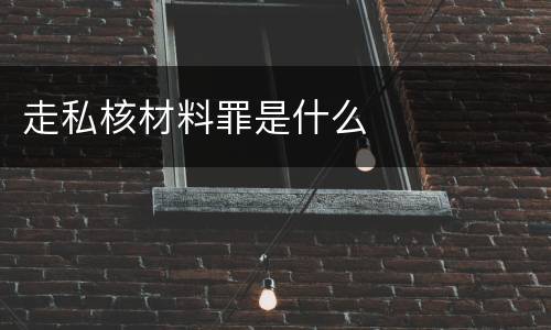 走私核材料罪是什么