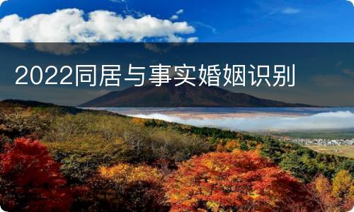 2022同居与事实婚姻识别