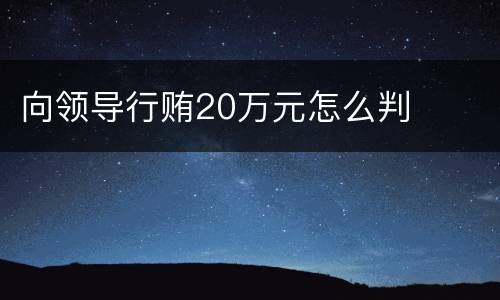 向领导行贿20万元怎么判