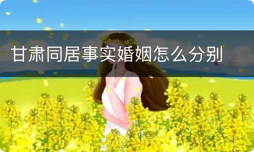 甘肃同居事实婚姻怎么分别