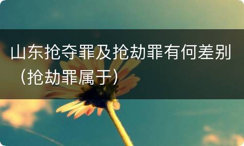 山东抢夺罪及抢劫罪有何差别（抢劫罪属于）