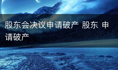 股东会决议申请破产 股东 申请破产