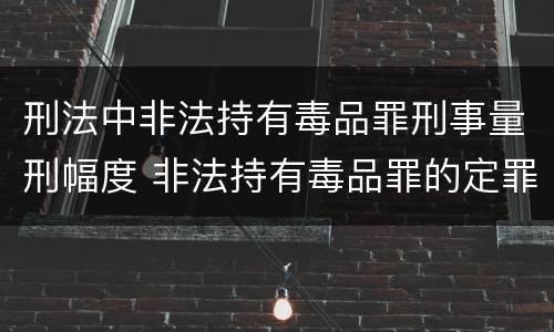 刑法中非法持有毒品罪刑事量刑幅度 非法持有毒品罪的定罪标准