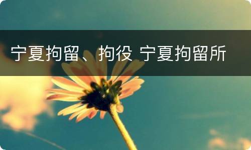 宁夏拘留、拘役 宁夏拘留所