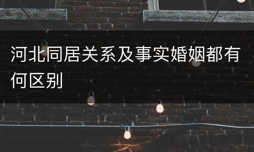 河北同居关系及事实婚姻都有何区别