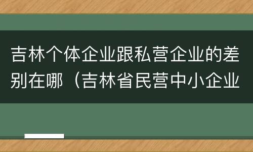 吉林个体企业跟私营企业的差别在哪（吉林省民营中小企业）