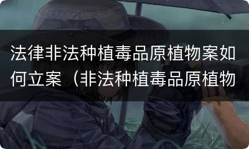 法律非法种植毒品原植物案如何立案（非法种植毒品原植物罪量刑指导意见）