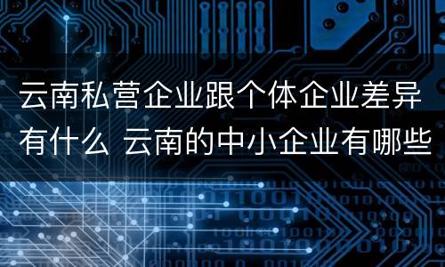 云南私营企业跟个体企业差异有什么 云南的中小企业有哪些