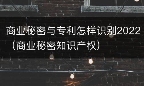 商业秘密与专利怎样识别2022（商业秘密知识产权）