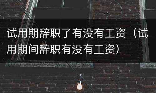 试用期辞职了有没有工资（试用期间辞职有没有工资）