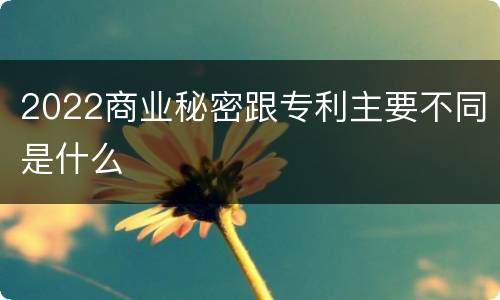 2022商业秘密跟专利主要不同是什么