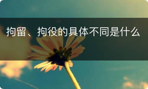 拘留、拘役的具体不同是什么