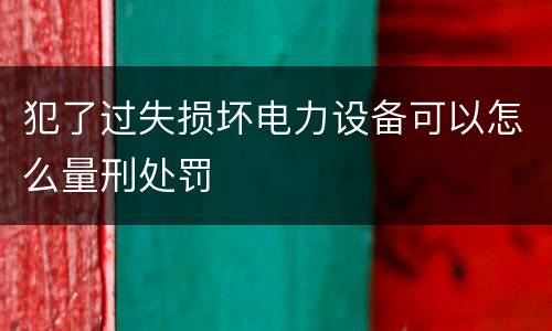 犯了过失损坏电力设备可以怎么量刑处罚