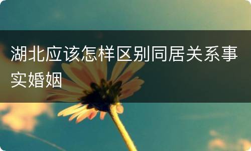 湖北应该怎样区别同居关系事实婚姻