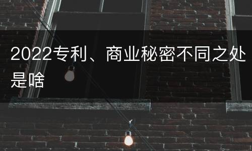 2022专利、商业秘密不同之处是啥