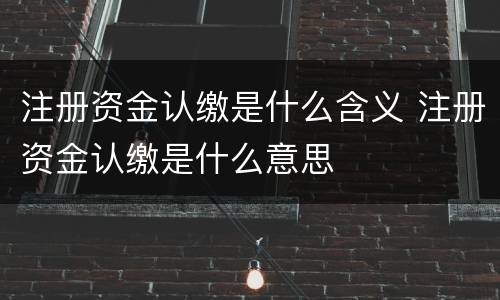 注册资金认缴是什么含义 注册资金认缴是什么意思