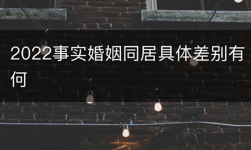 2022事实婚姻同居具体差别有何
