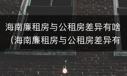 海南廉租房与公租房差异有啥（海南廉租房与公租房差异有啥影响）