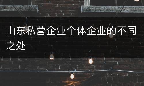 山东私营企业个体企业的不同之处