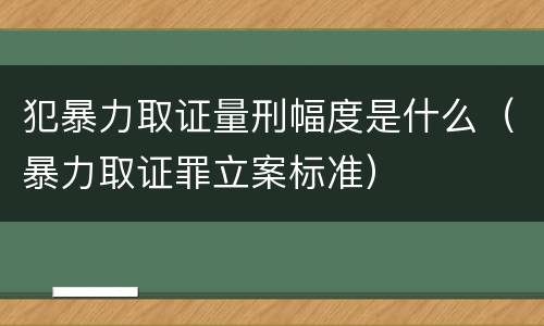 犯暴力取证量刑幅度是什么（暴力取证罪立案标准）