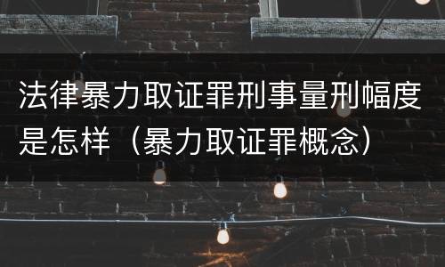 法律暴力取证罪刑事量刑幅度是怎样（暴力取证罪概念）