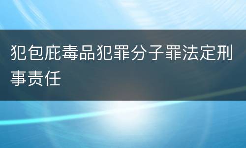 犯包庇毒品犯罪分子罪法定刑事责任