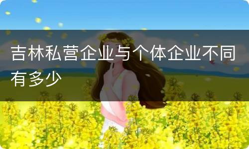 吉林私营企业与个体企业不同有多少