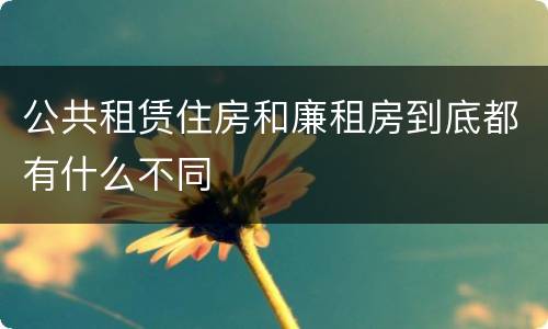 公共租赁住房和廉租房到底都有什么不同