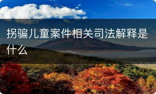 拐骗儿童案件相关司法解释是什么