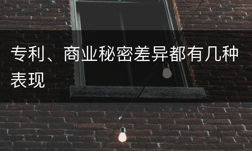 专利、商业秘密差异都有几种表现