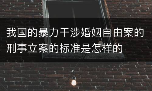 我国的暴力干涉婚姻自由案的刑事立案的标准是怎样的