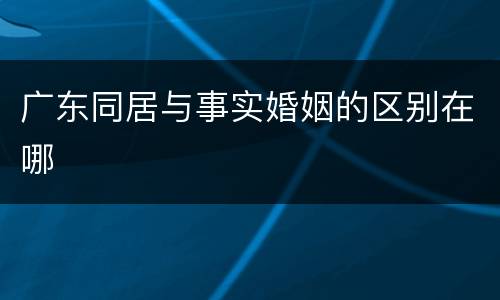 广东同居与事实婚姻的区别在哪