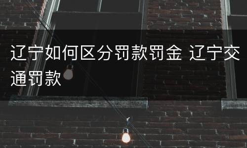 辽宁如何区分罚款罚金 辽宁交通罚款