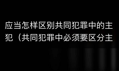 应当怎样区别共同犯罪中的主犯（共同犯罪中必须要区分主从犯）