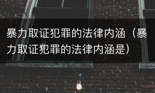 暴力取证犯罪的法律内涵（暴力取证犯罪的法律内涵是）