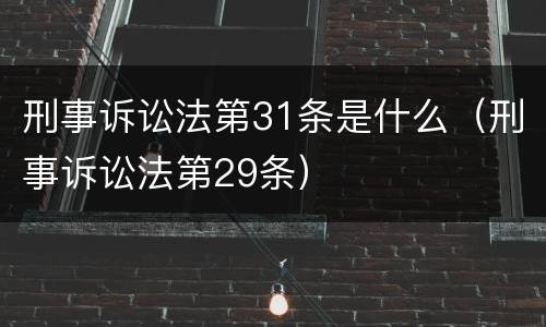 刑事诉讼法第31条是什么（刑事诉讼法第29条）